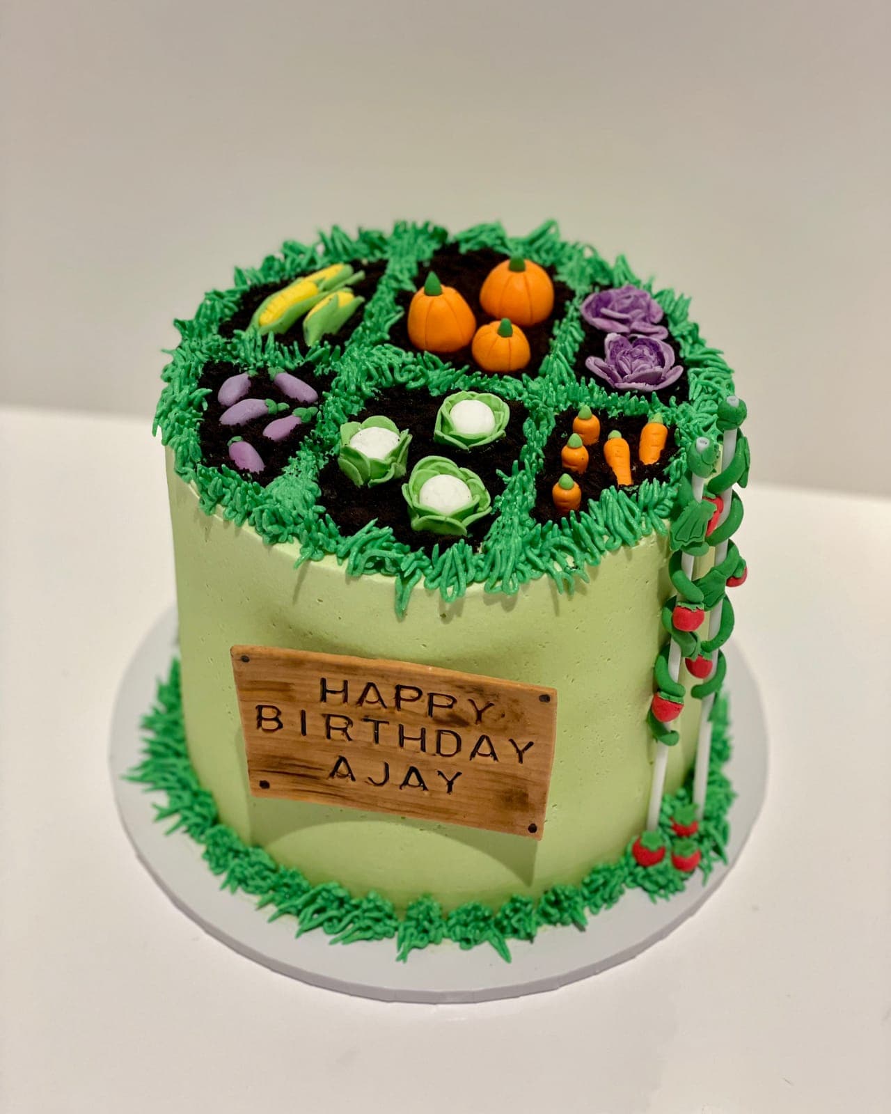 A green cake made to look like a vegetable patch, with modelled pumpkins, cabbages, carrots and corn in chocolate soil, piped grass and a wooden-look birthday sign.